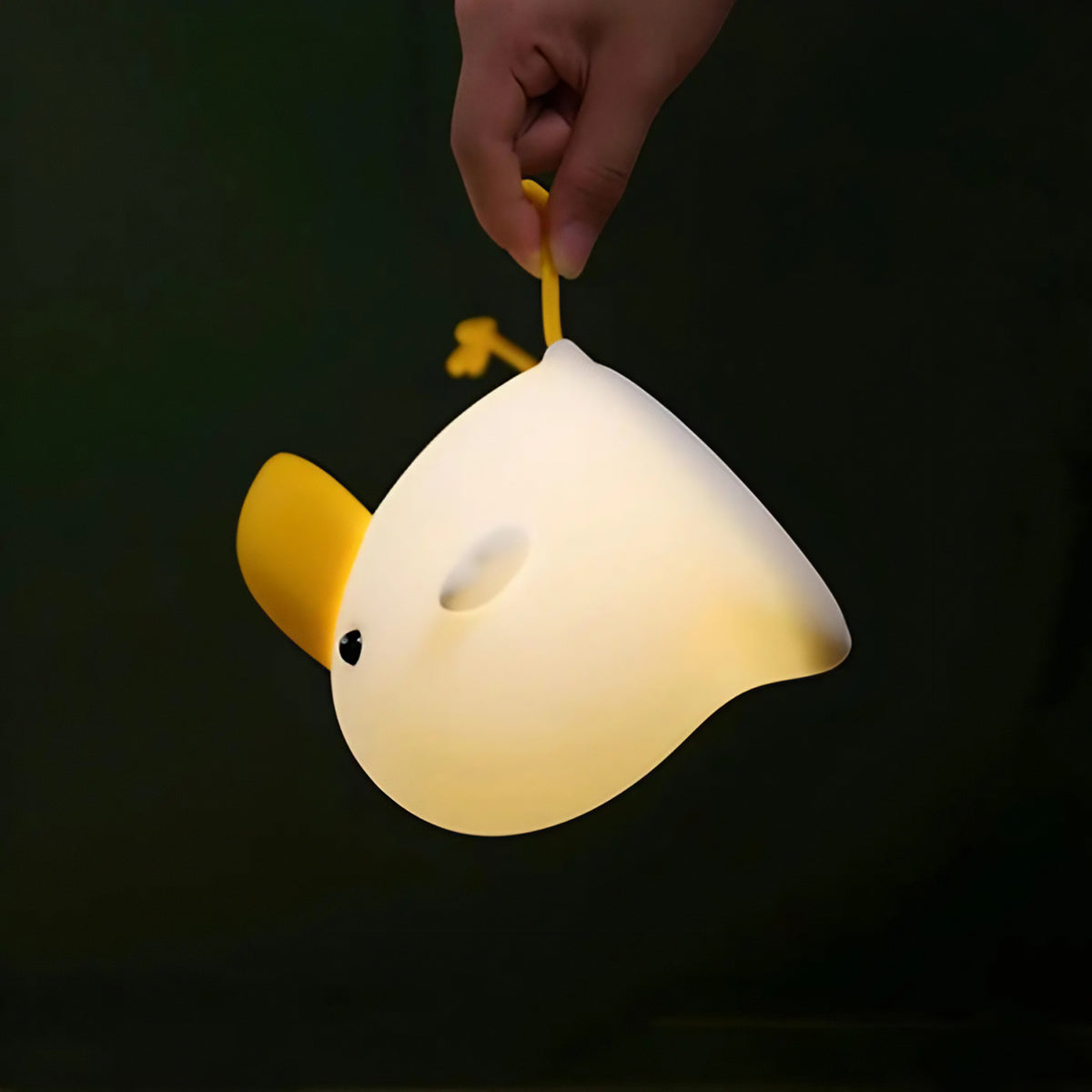 Veilleuse aux formes naturelles, lumière ajustable, autonome