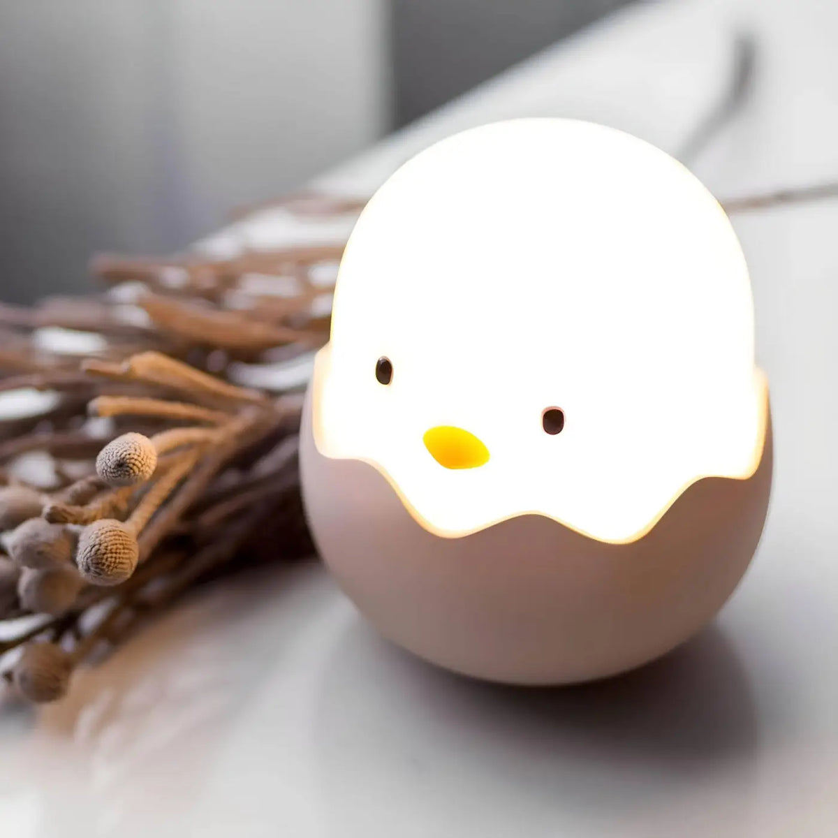 Veilleuse œuf de poule, luminosité ajustable, recharge USB